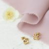 Smykker Secrets by B Swarovski | Louise Crystal Earstuds Champange